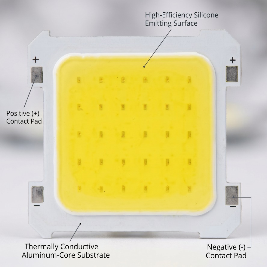 6 สี 100 ~ 10PCS 3V LED COB ชิ - Colour Changing Bulb บทวิจารณ์และราคา