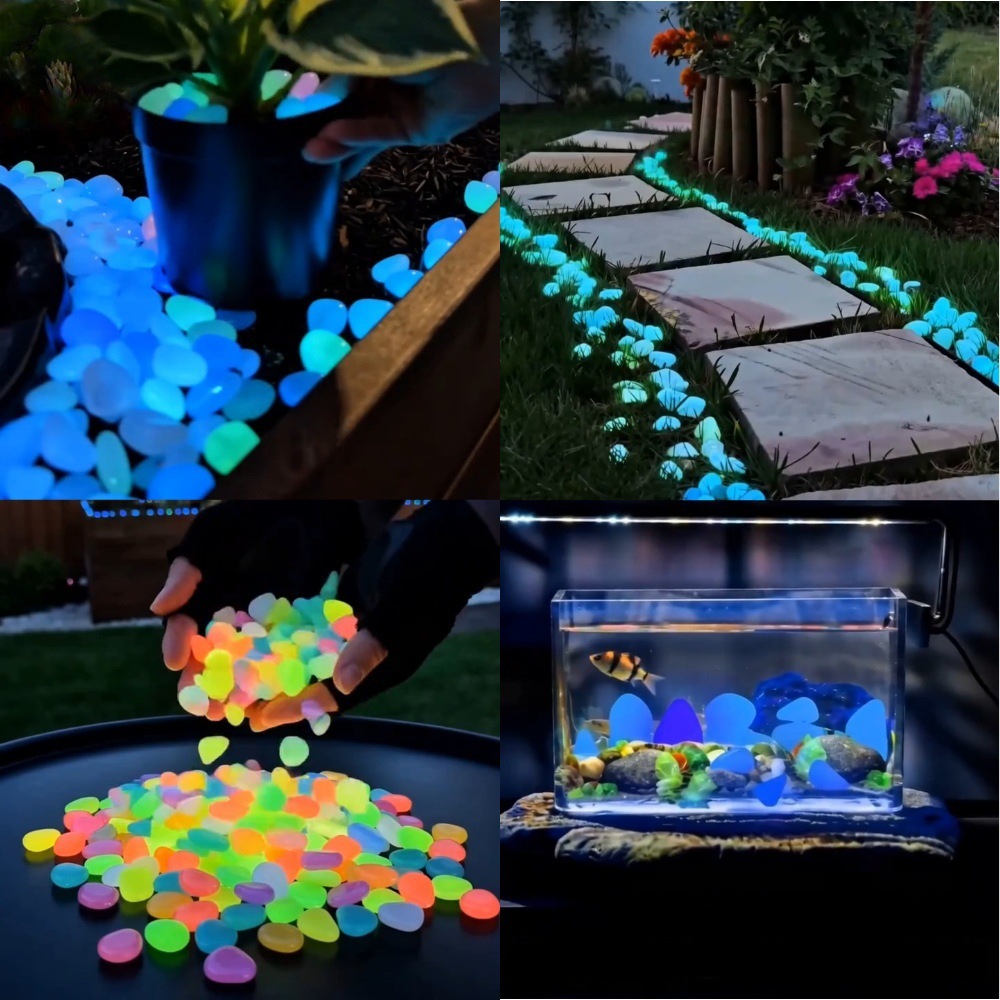 หินเรืองแสงหลากสีสันสำหรับตกแต - Decor Lighting Pack บทวิจารณ์และราคา